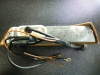 cimg5601.jpg